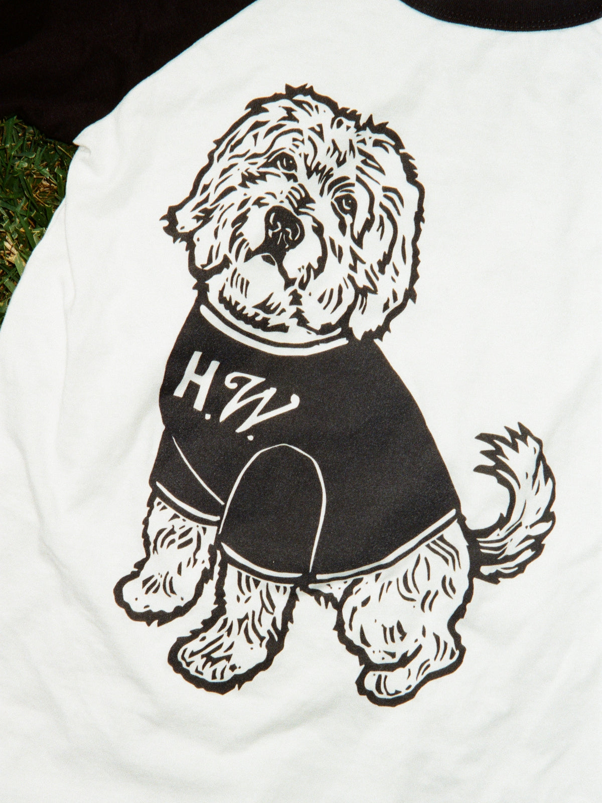 Alf Raglan T-Shirt - PREORDER