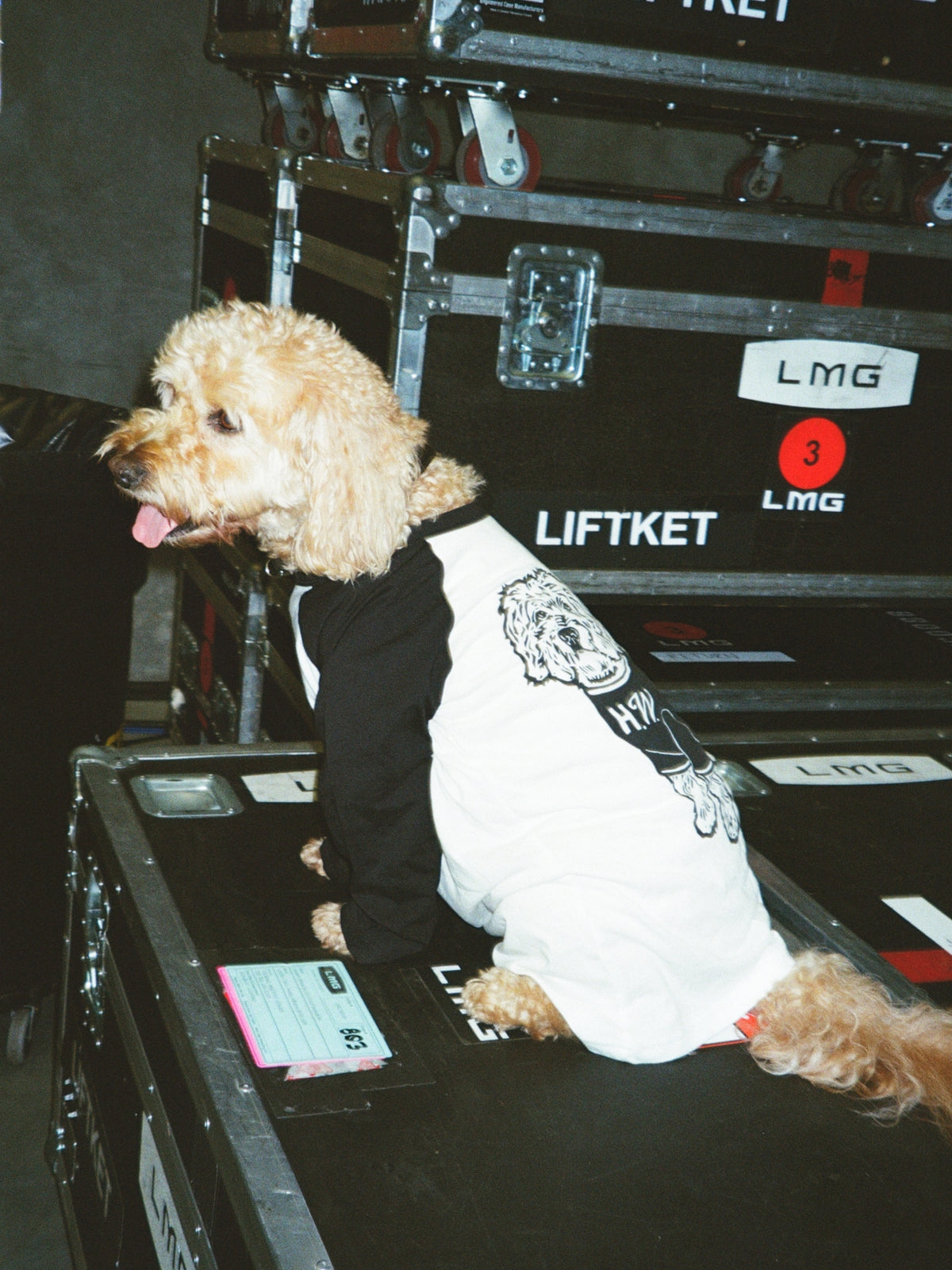 Alf Raglan T-Shirt - PREORDER